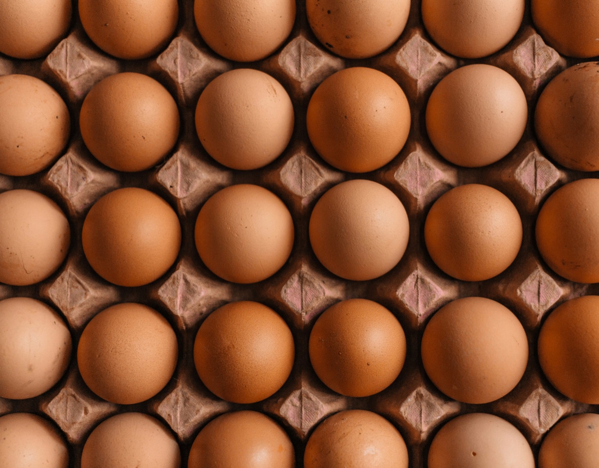 Proteinpulver und Darmgesundheit: Was du für Muskelaufbau und Fettabbau wissen musst
